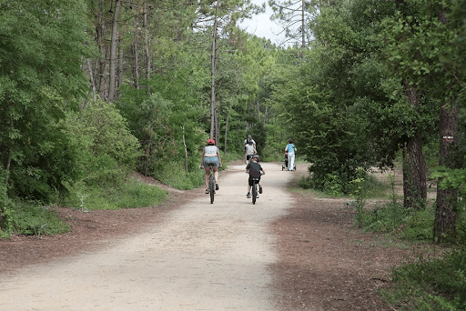 personnes à vélo en forêt